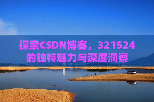 探索CSDN博客，321524的独特魅力与深度洞察
